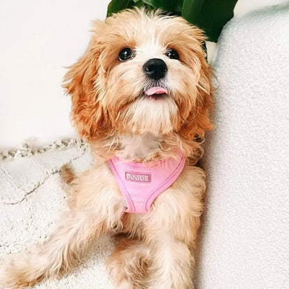 DOGUE Bold Dog Harness - DOGUE