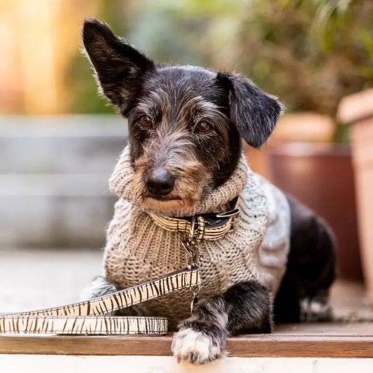 DOGUE Cable Knit Dog Jumper | Buy Online at DOGUE Australia