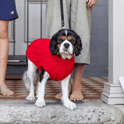 DOGUE Cable Knit Dog Jumper | Buy Online at DOGUE Australia