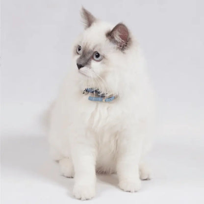 DOGUE  Classic Leather Cat Collar | Buy Online at DOGUE Australia