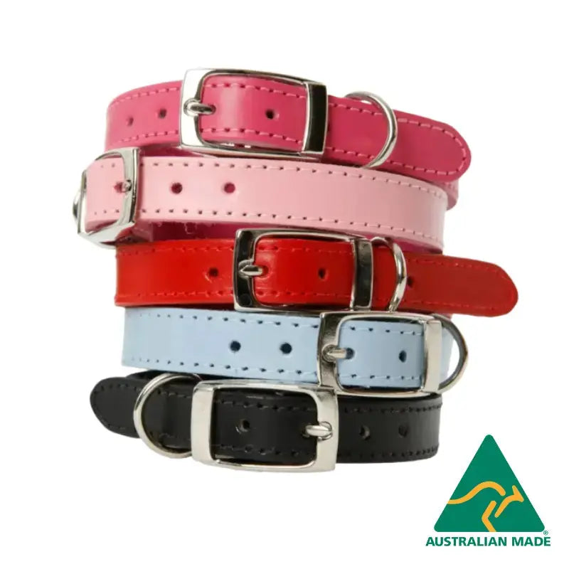 dogue-classic-leather-dog-collar