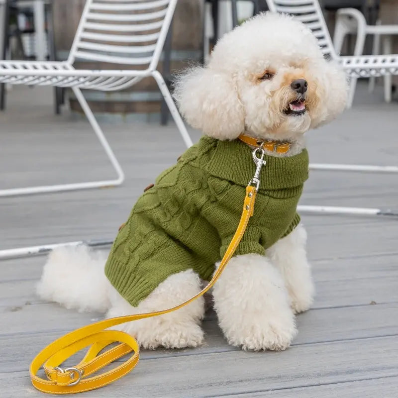 DOGUE Classic Stitch Leather Dog Lead - DOGUE