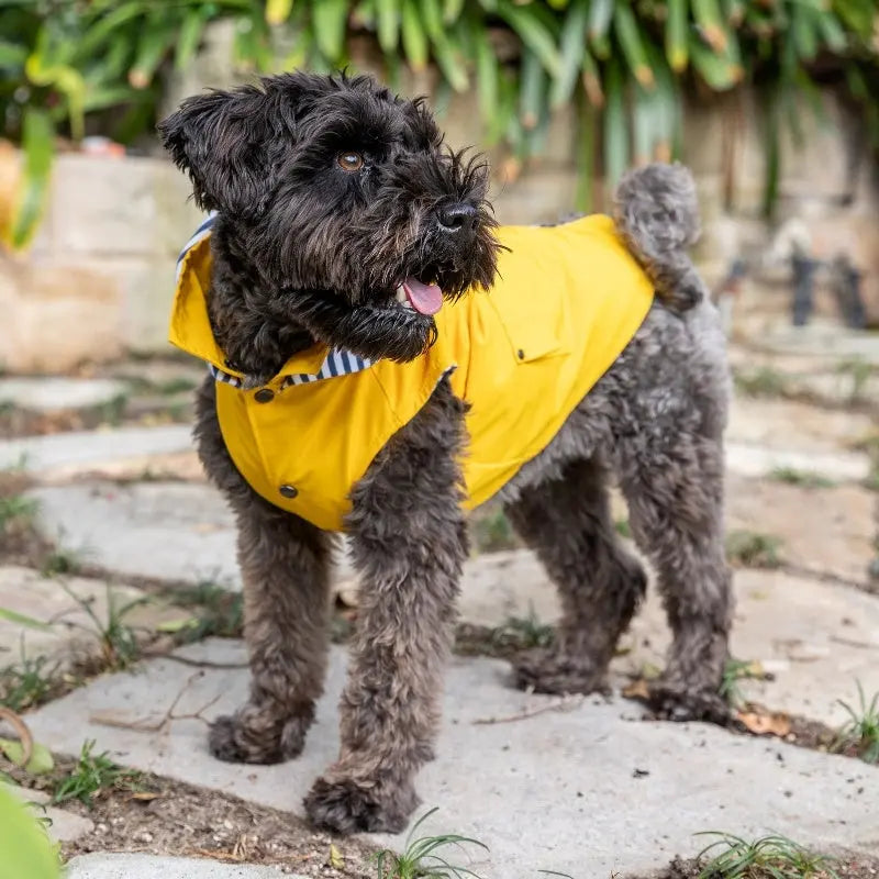 DOGUE Essential Dog Raincoat - DOGUE