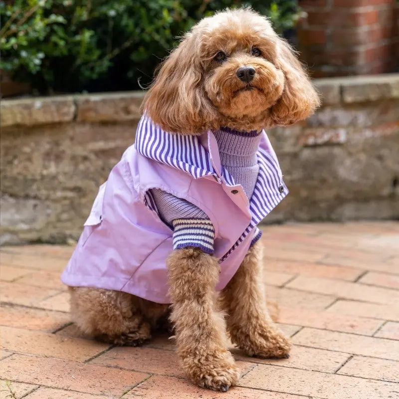 DOGUE Essential Dog Raincoat - DOGUE