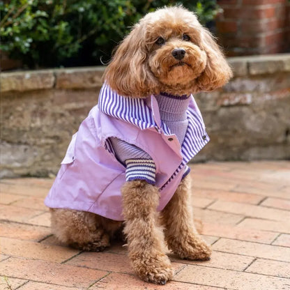 DOGUE Essential Dog Raincoat - DOGUE