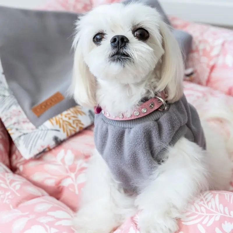 DOGUE Fleece Dog Pyjamas - DOGUE