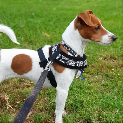 DOGUE Fleur Dog Harness - DOGUE