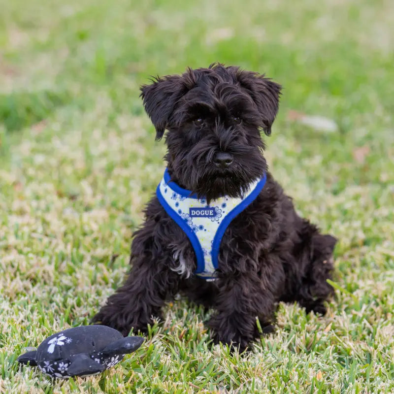 DOGUE Floral Dog Harness - DOGUE