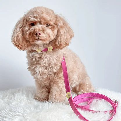 DOGUE Flower Pop Walkwear Set | Buy Online at DOGUE Australia