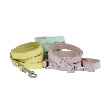 DOGUE Gelato Dog Lead - DOGUE