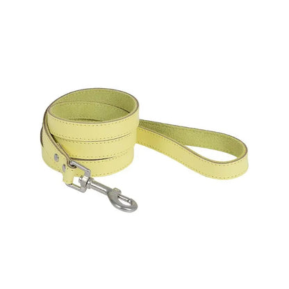 DOGUE Gelato Dog Lead - DOGUE