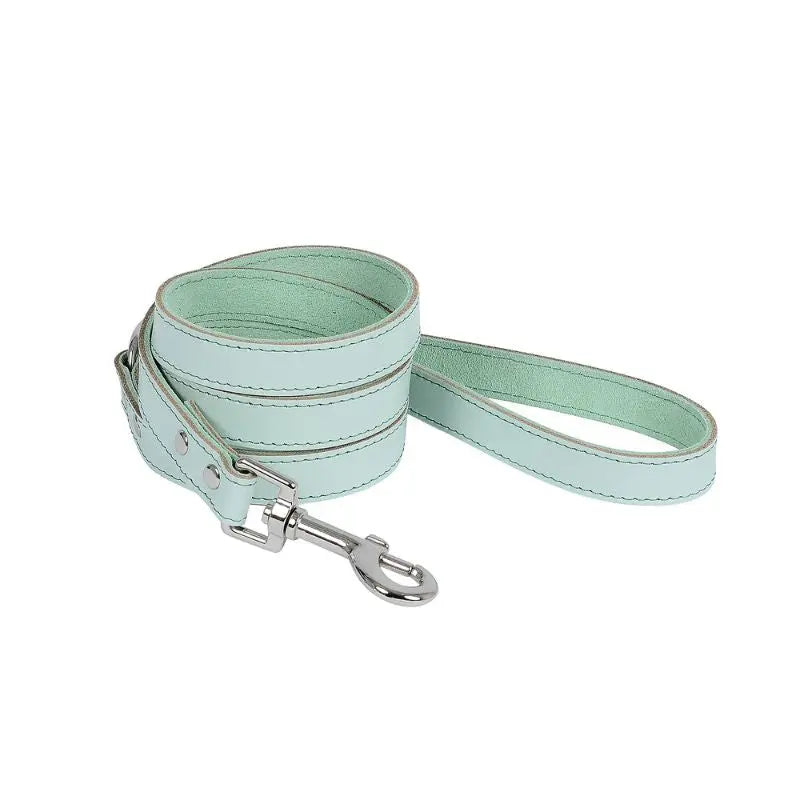 DOGUE Gelato Dog Lead - DOGUE