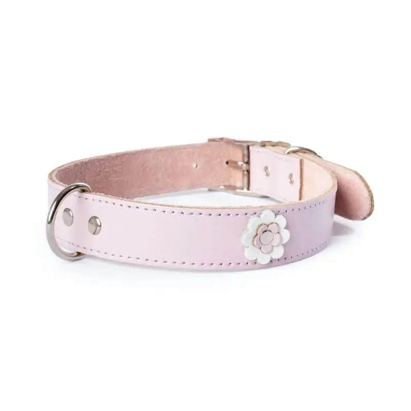DOGUE Gelato Flower Dog Collar - DOGUE