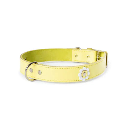 DOGUE Gelato Flower Dog Collar - DOGUE