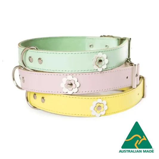 DOGUE Gelato Flower Dog Collar - DOGUE