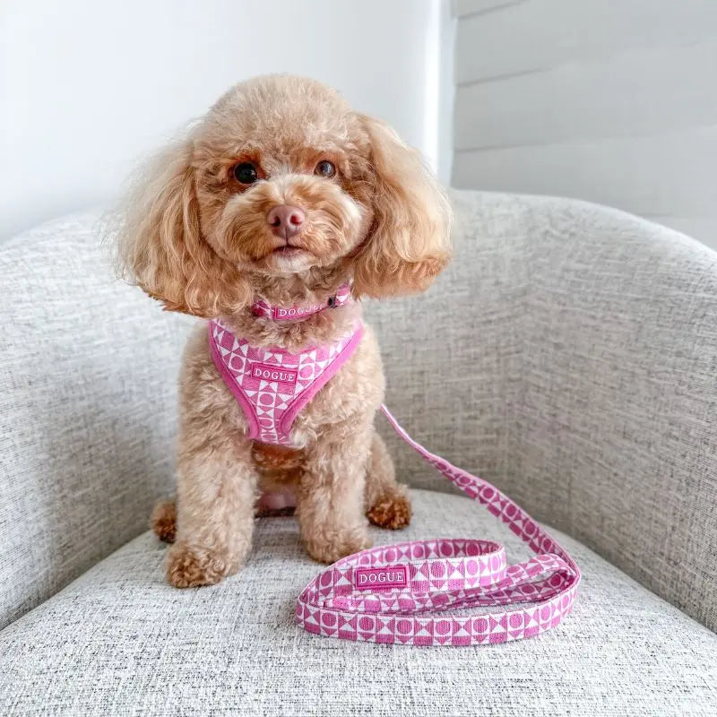 DOGUE Geometric Dog Harness - DOGUE