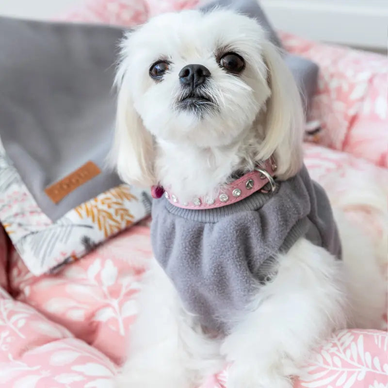 DOGUE Leather Glamour Dog Collar - DOGUE