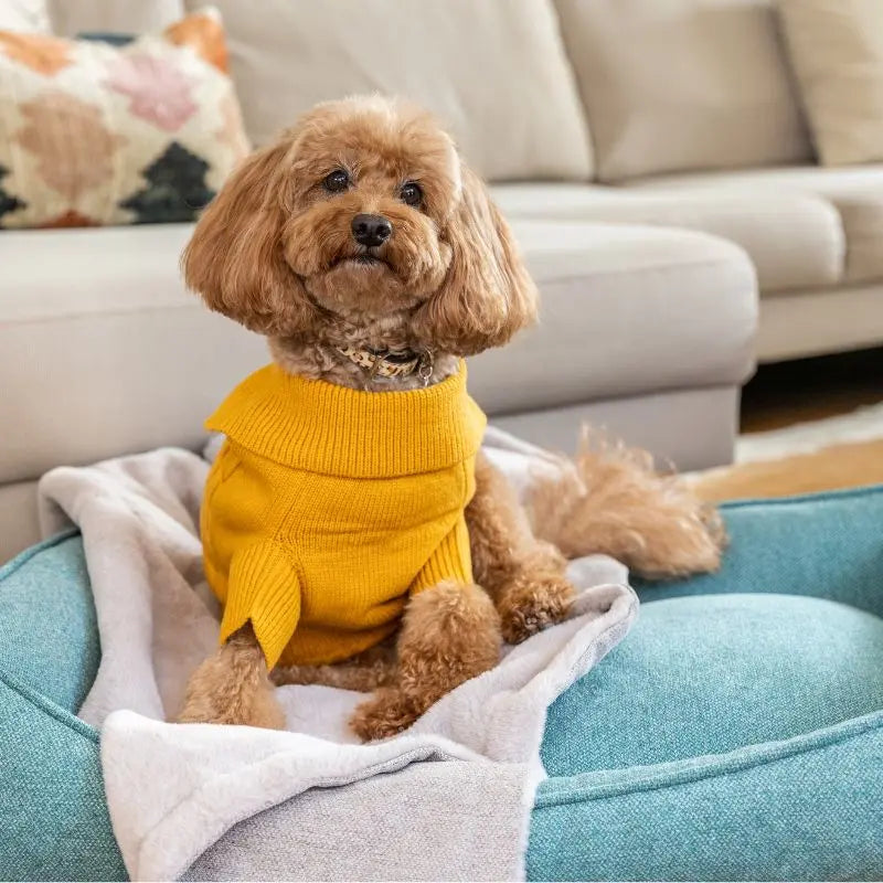 DOGUE Luxe Dog Blanket - DOGUE