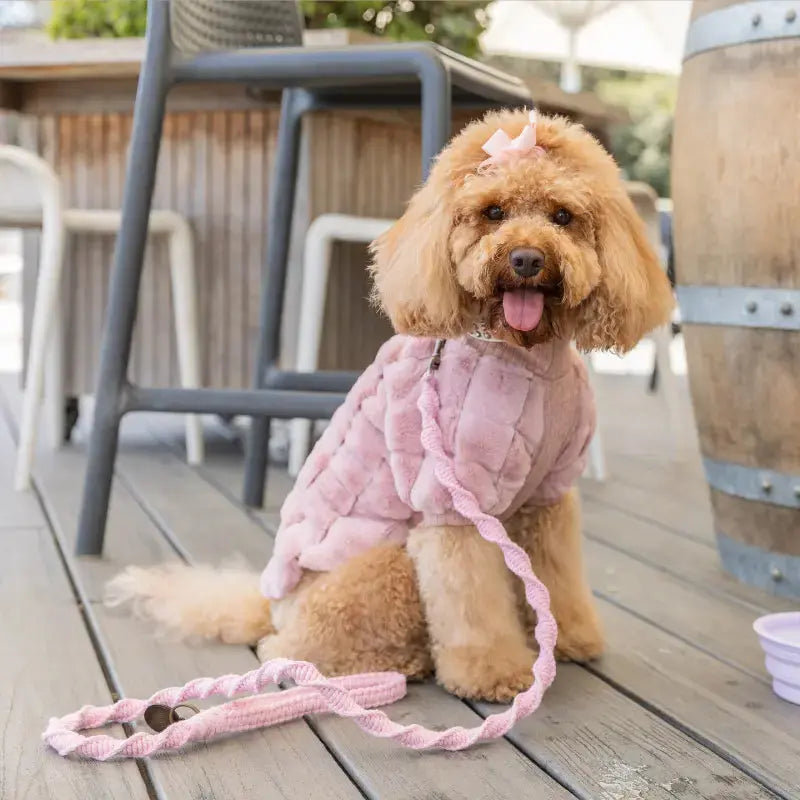 DOGUE Macrame Dog Lead - DOGUE