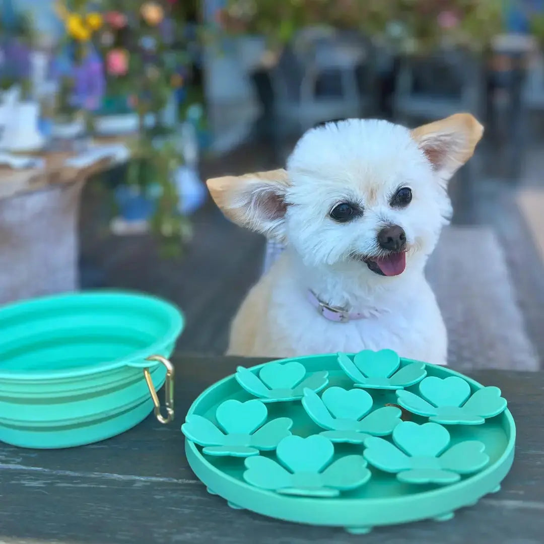 DOGUE Slow Feeder Dog Flower - DOGUE