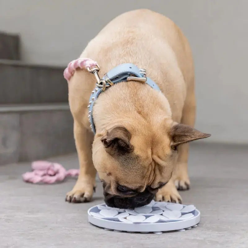 DOGUE Slow Feeder Dog Flower - DOGUE