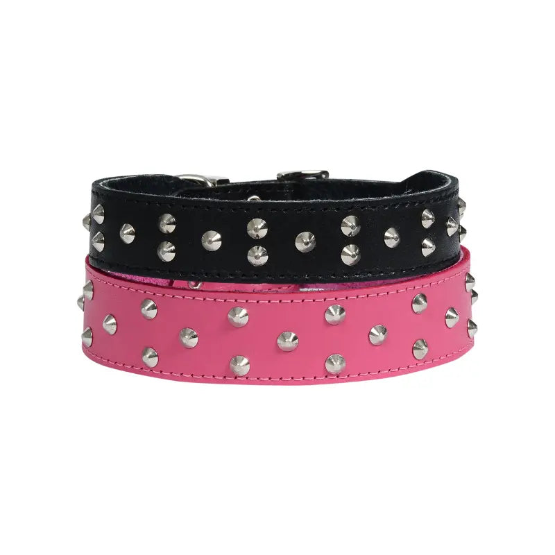 Stud Muffin Dog Collar | Buy Online at DOGUE