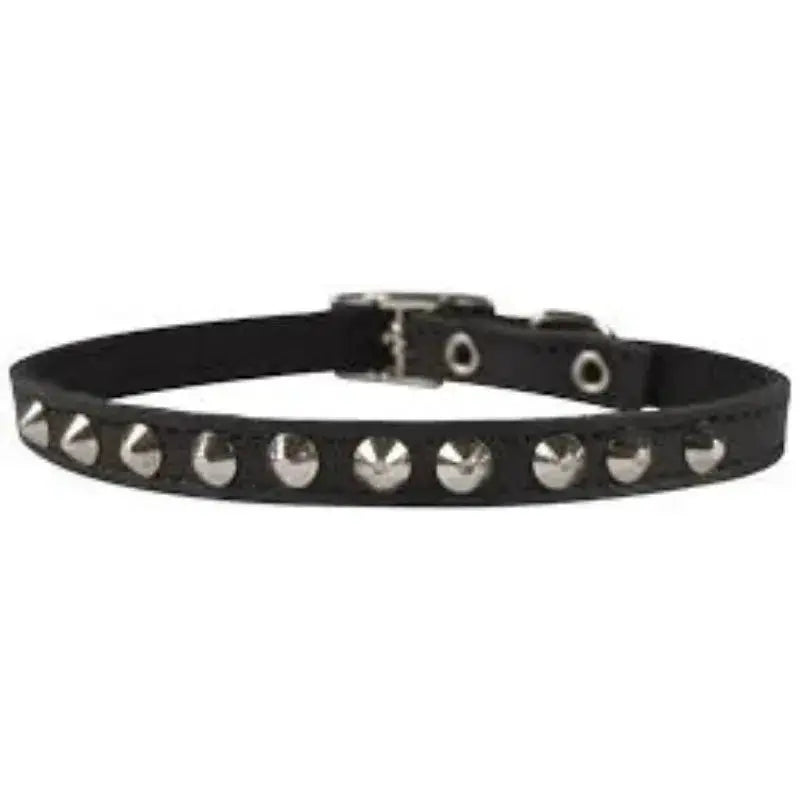 Studded Leather Cat Collar Buy Online at DOGUE