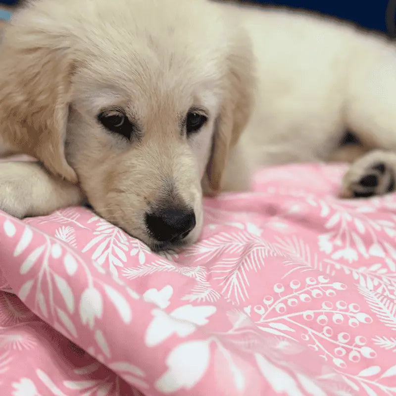 DOGUE Wildflower Pink Dog Blanket | Buy Online at DOGUE Australia