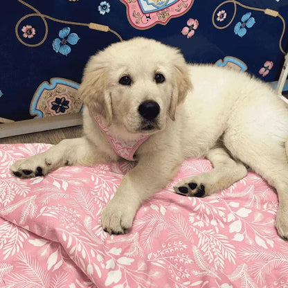 DOGUE Wildflower Pink Dog Blanket | Buy Online at DOGUE Australia