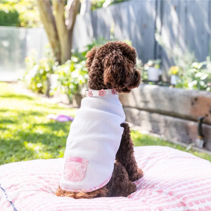DOGUE Fleece Dog Pyjamas | Buy Online at DOGUE Australia