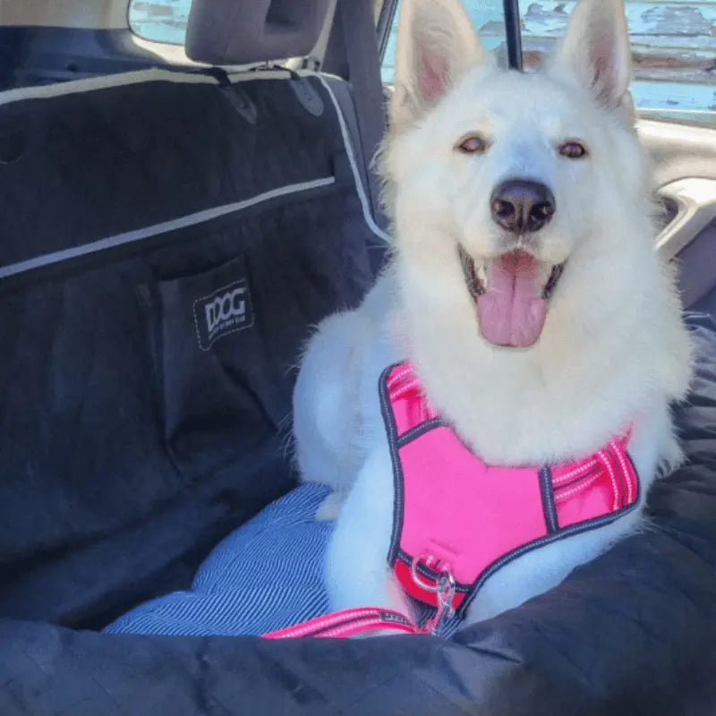 DOOG Dog Car Seat Black | Buy Online at DOGUE Australia