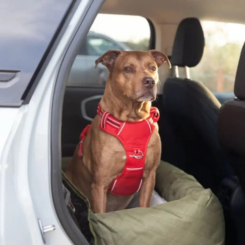 DOOG Dog Car Seat Green | Buy Online at DOGUE Australia
