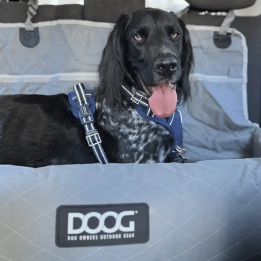 DOOG Dog Car Seat Grey | Buy Online at DOGUE Australia