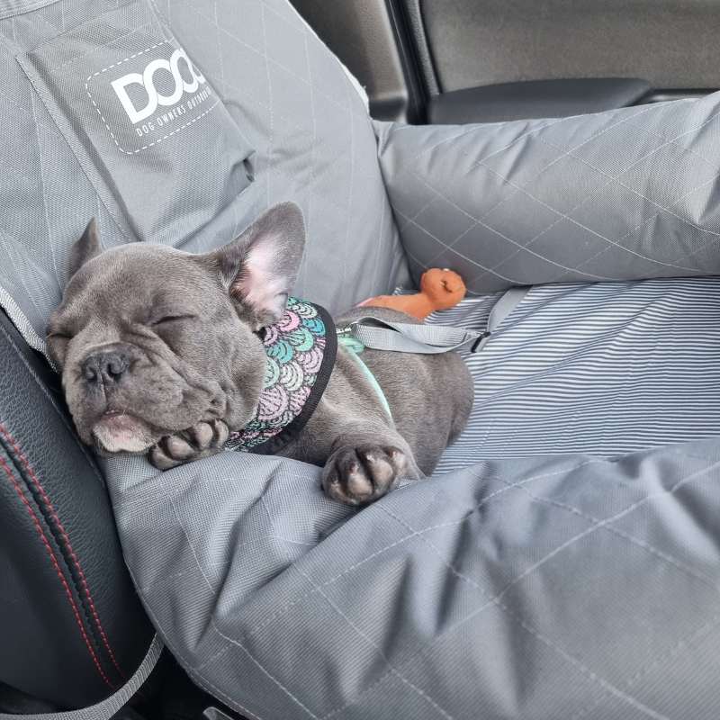 DOOG Dog Car Seat Grey (Copy) | Buy Online at DOGUE Australia