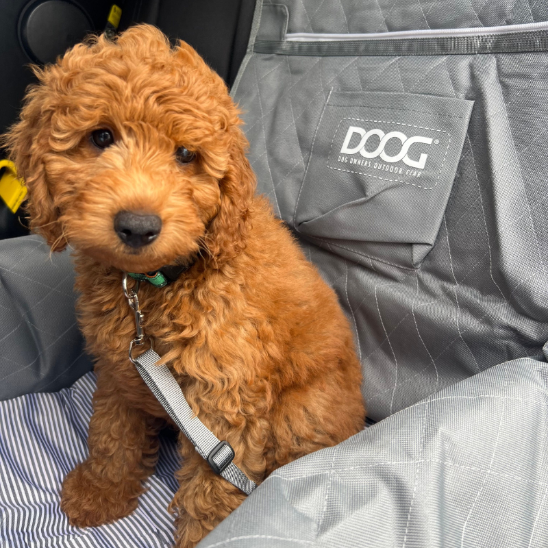 DOOG Dog Car Seat Grey (Copy) | Buy Online at DOGUE Australia
