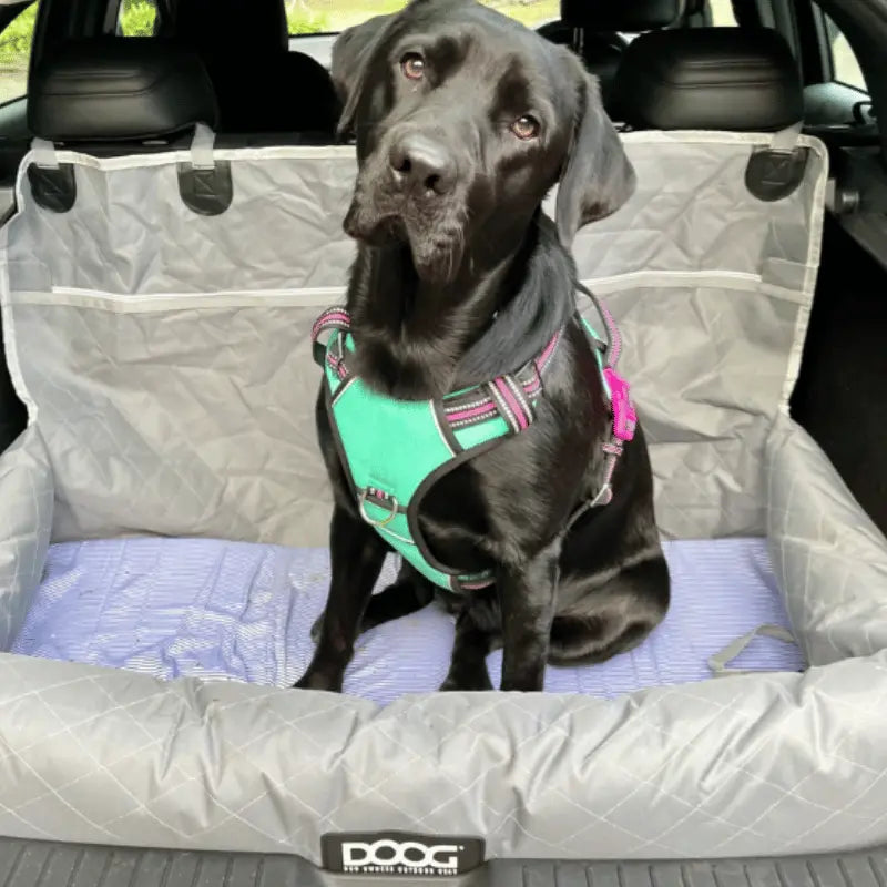 DOOG Dog Car Seat Sand | Buy Online at DOGUE Australia
