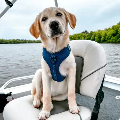 DOOG Neosport Soft Dog Harness - DOGUE
