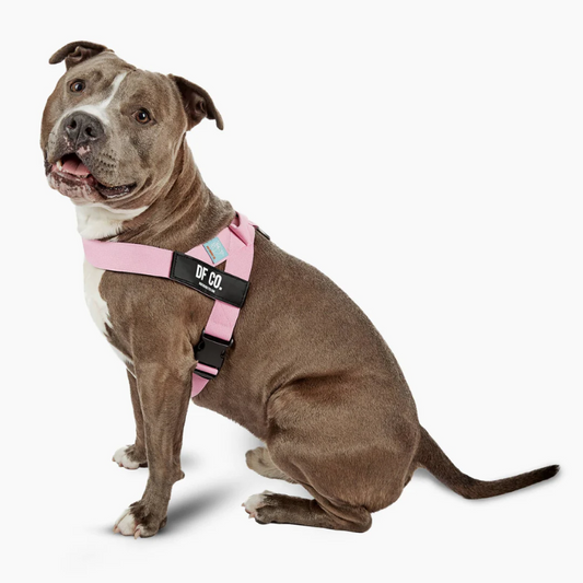 Dog Friendly Co. Dog Harness 
