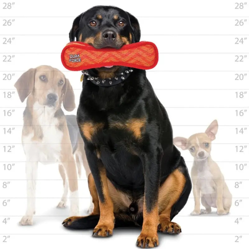DuraForce Bone ZigZag Dog Toy Red - DOGUE
