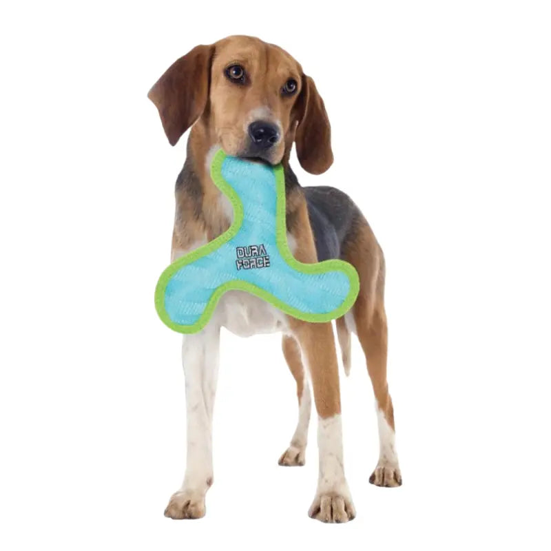 DuraForce Boomerang Tiger Dog Toy Blue/Green - DOGUE