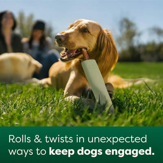 Earth Rated Chew Dog Toy - DOGUE