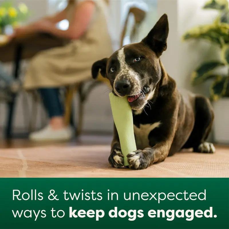 Earth Rated Chew Dog Toy - DOGUE