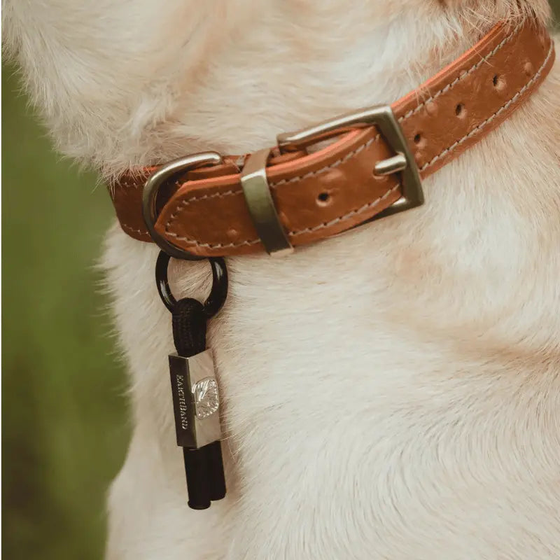EarthBand for Pets Calming Petband Black | Buy Online at DOGUE Australia