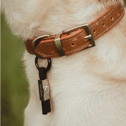 EarthBand for Pets Calming Petband Black | Buy Online at DOGUE Australia