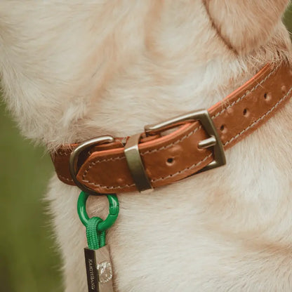 EarthBand for Pets Calming Petband Forest Green | Buy Online at DOGUE Australia