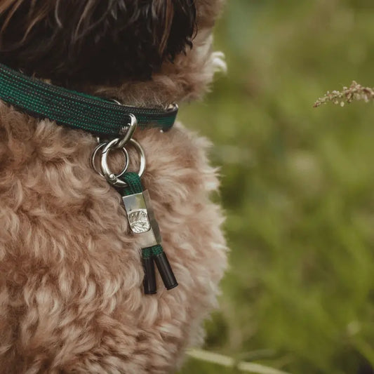 EarthBand for Pets Calming Petband Forest Green | Buy Online at DOGUE Australia
