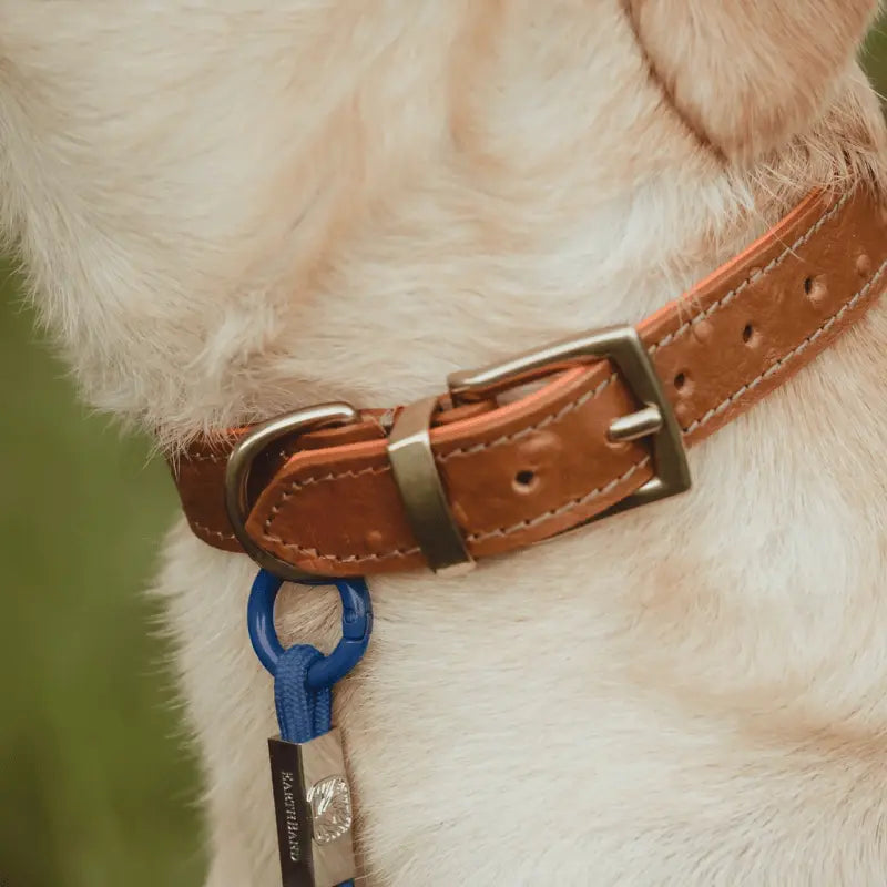 EarthBand for Pets Calming Petband Ocean Blue | Buy Online at DOGUE Australia