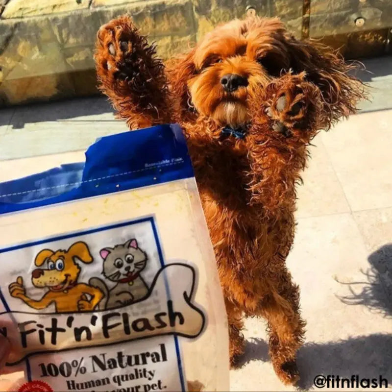 Fit 'n' Flash Chicken Breast Fillet Dog Treat - DOGUE