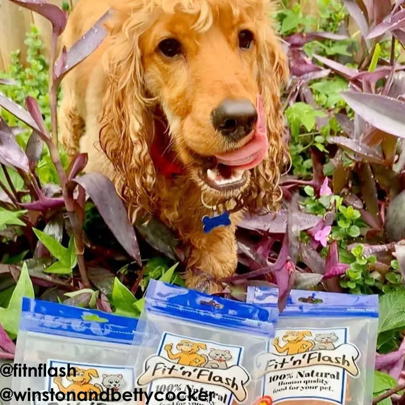Fit 'n' Flash Sweet Potato Dog Treat 50g - DOGUE