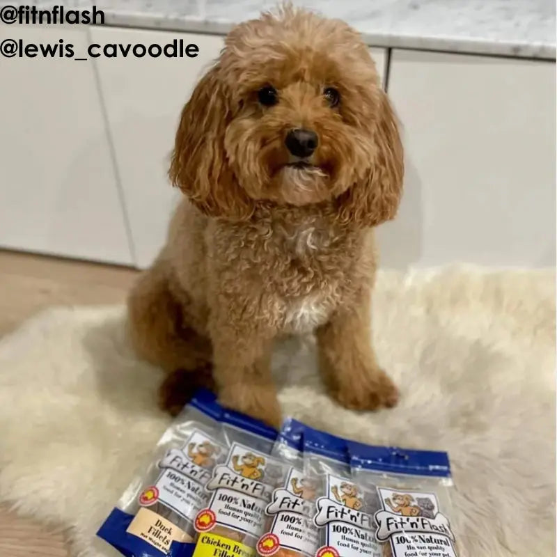 Fit 'n' Flash Venison Fillets Dog Treat 50g - DOGUE